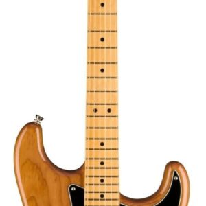 Fender American Professional II Stratocaster HSS MN Roasted Pine w/Hardshell Case