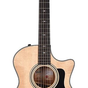 Taylor Guitars 314ce V-Class Grand Auditorium Acoustic-Electric Guitar