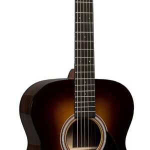 Martin Guitar Standard Series Acoustic Guitars, Hand-Built Martin Guitars with Authentic Wood OM-21