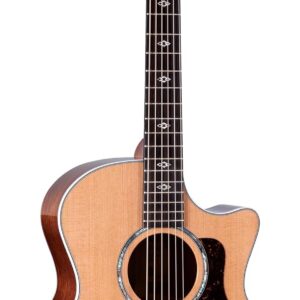 Taylor Next Generation 514ce Grand Auditorium Acoustic-Electric Guitar with Hardshell Case