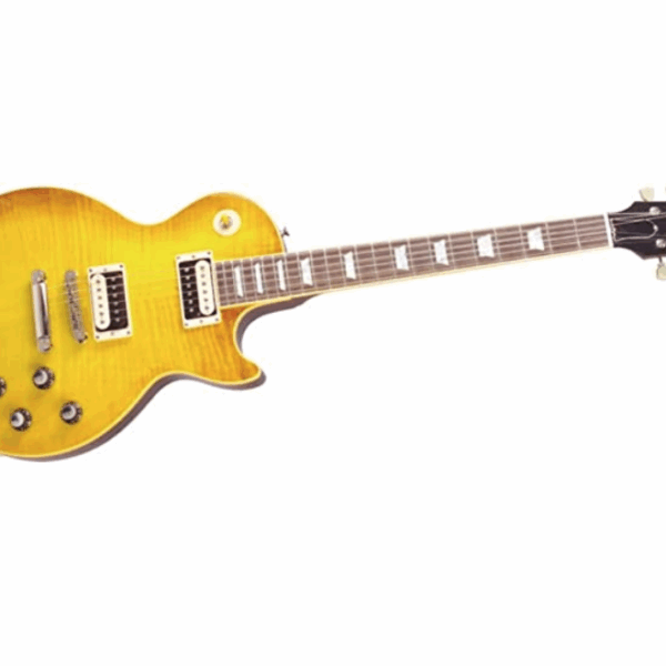 Gibson Les Paul Standard Faded '50s Neck Honey Burst Nickel Hardware