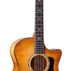 Taylor Next Generation 614ce Grand Auditorium Acoustic-Electric Guitar - Antique Blonde with Hardshell Case