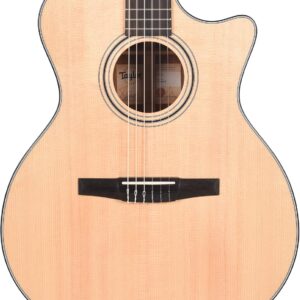 Taylor 314ce-N Grand Auditorium Nylon Sitka Spruce/Sapele Acoustic-Electric Guitar with Hardshell Case, Natural
